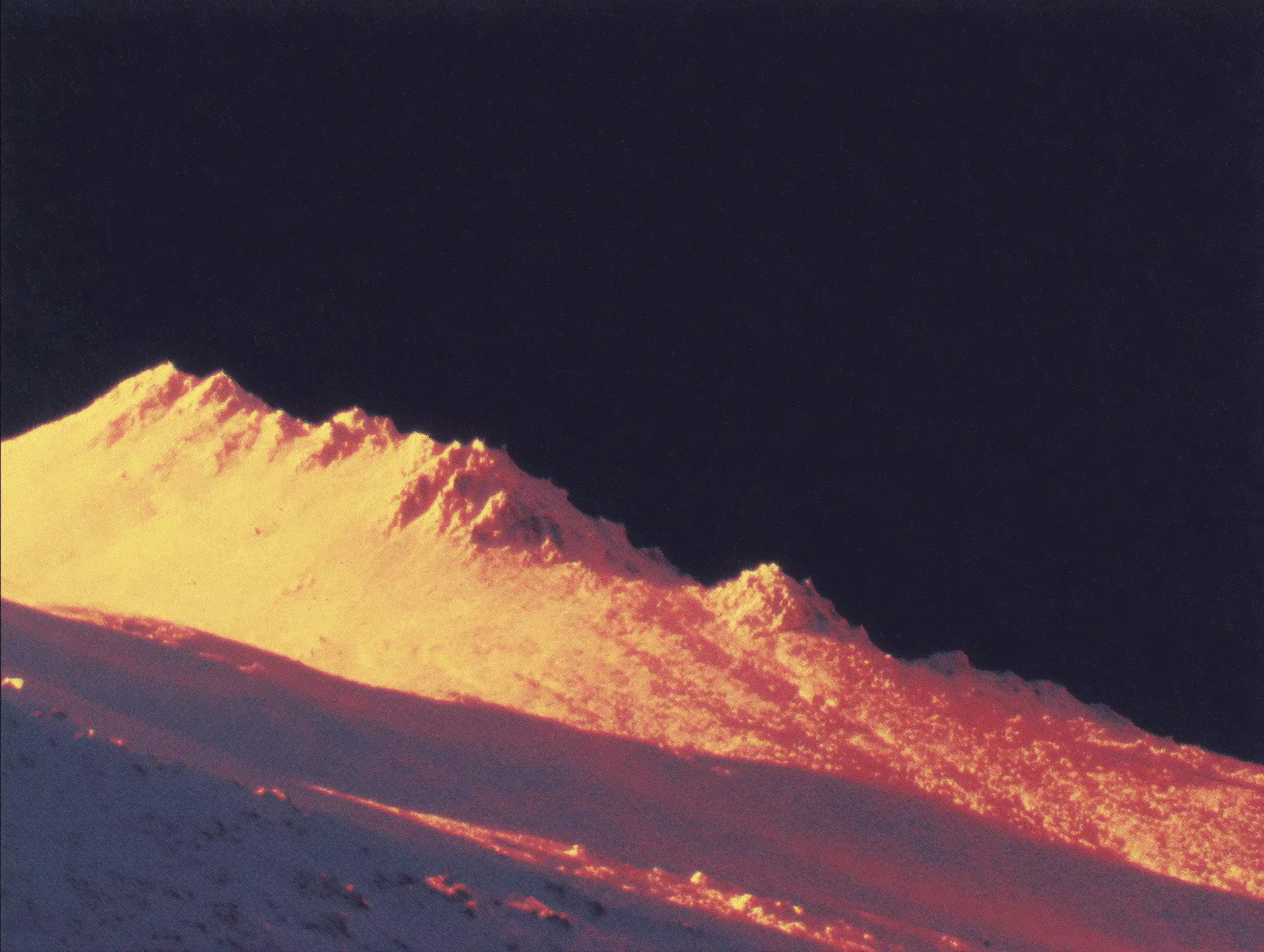 Health supplement brand illustration style hero